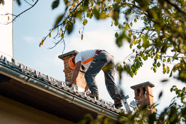 Best Local Roofing Companies  in Kurtistown, HI