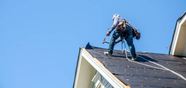 Best Roof Waterproofing Services  in Kurtistown, HI